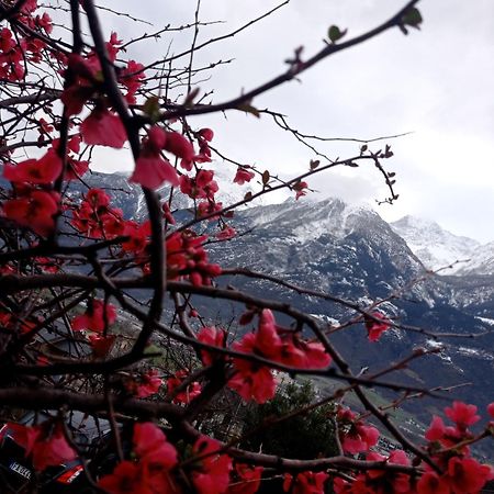 Lo Tsanty Casa Vacanza Aosta Esterno foto