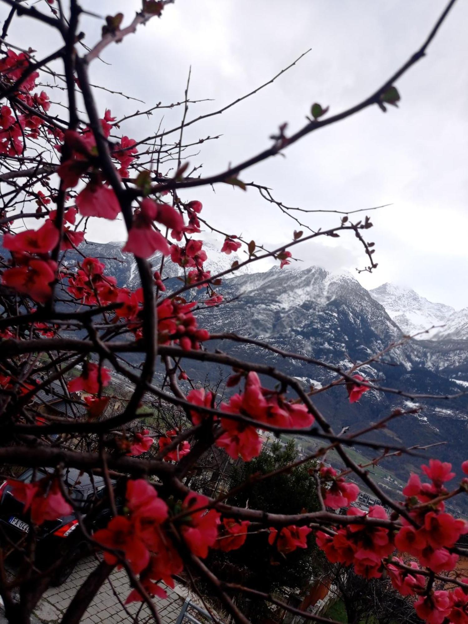 Lo Tsanty Casa Vacanza Aosta Esterno foto