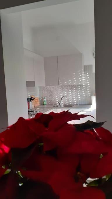 Lo Tsanty Casa Vacanza Aosta Esterno foto